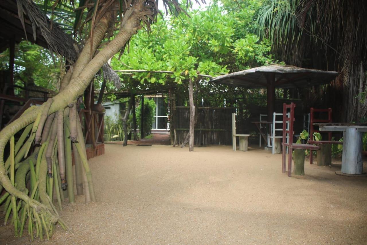 Happy Cocos Beach House วาสกาดูวา ภายนอก รูปภาพ